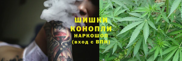 первитин Дмитриев