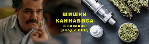 ГАЛЛЮЦИНОГЕННЫЕ ГРИБЫ Гусиноозёрск