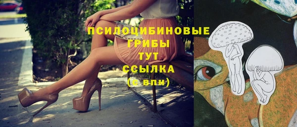 первитин Дмитриев