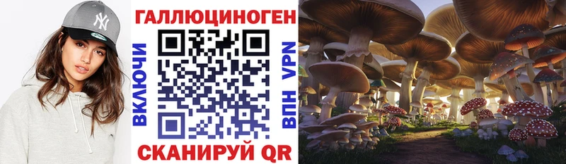 Галлюциногенные грибы мицелий  Купить  Люберцы